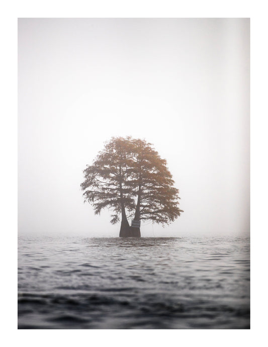 Santee Solitude