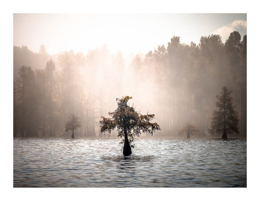 Santee Awakening