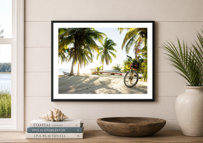 Palometa Paradise