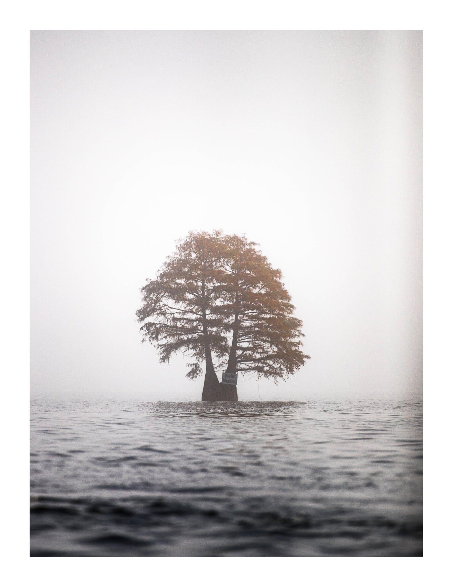 Santee Solitude