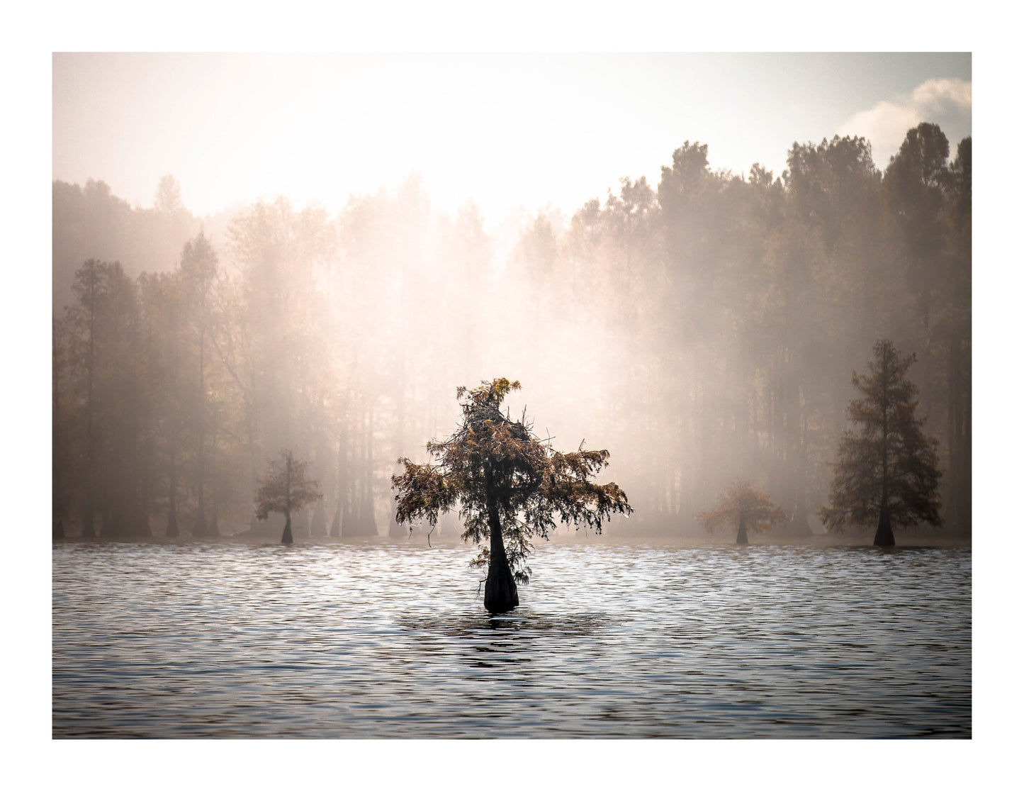 Santee Awakening