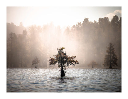 Santee Awakening