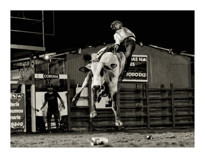 Toros a la Tica