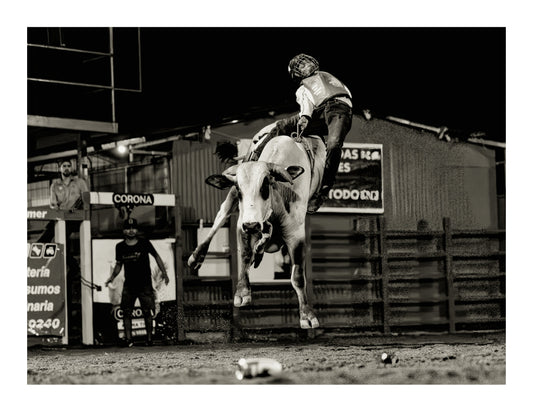 Toros a la Tica